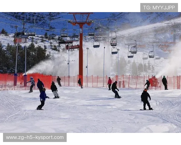 体育赛场持续升温