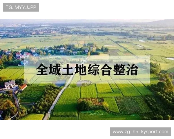 法兰克福在分边推进上十分精准:以边界管理实现高效协同的实践观察